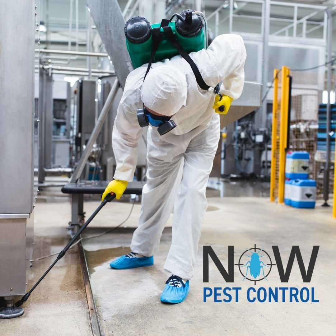Commercial Pest Control