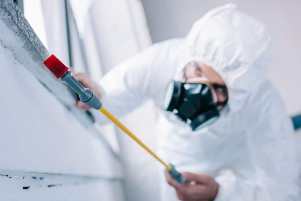 End of lease pest control sydney