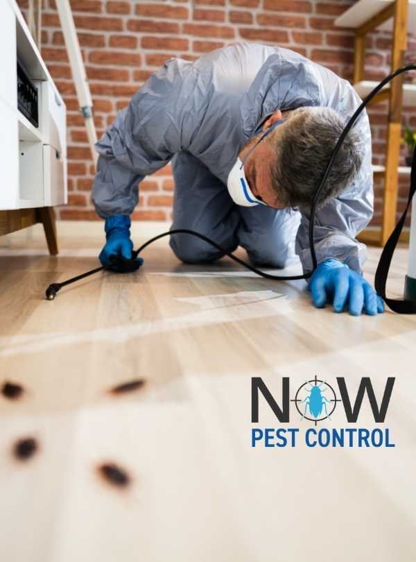 Residential Pest Control Sydney
