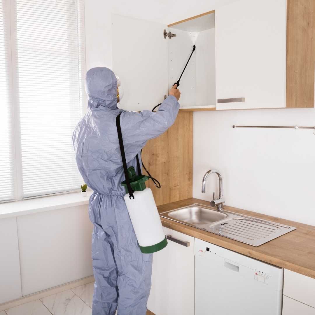 Pest Control Inner