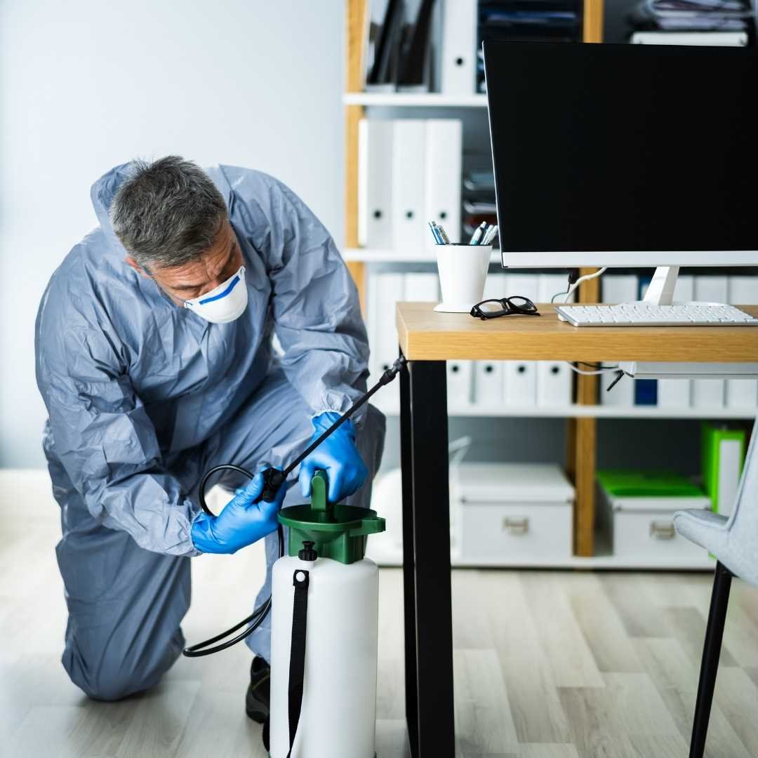 Pest Control Rozelle