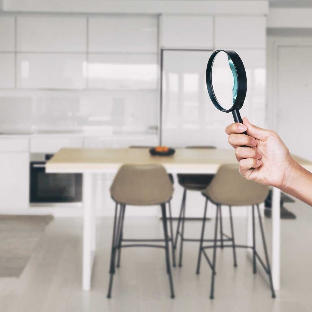 Pest Inspections Sydney