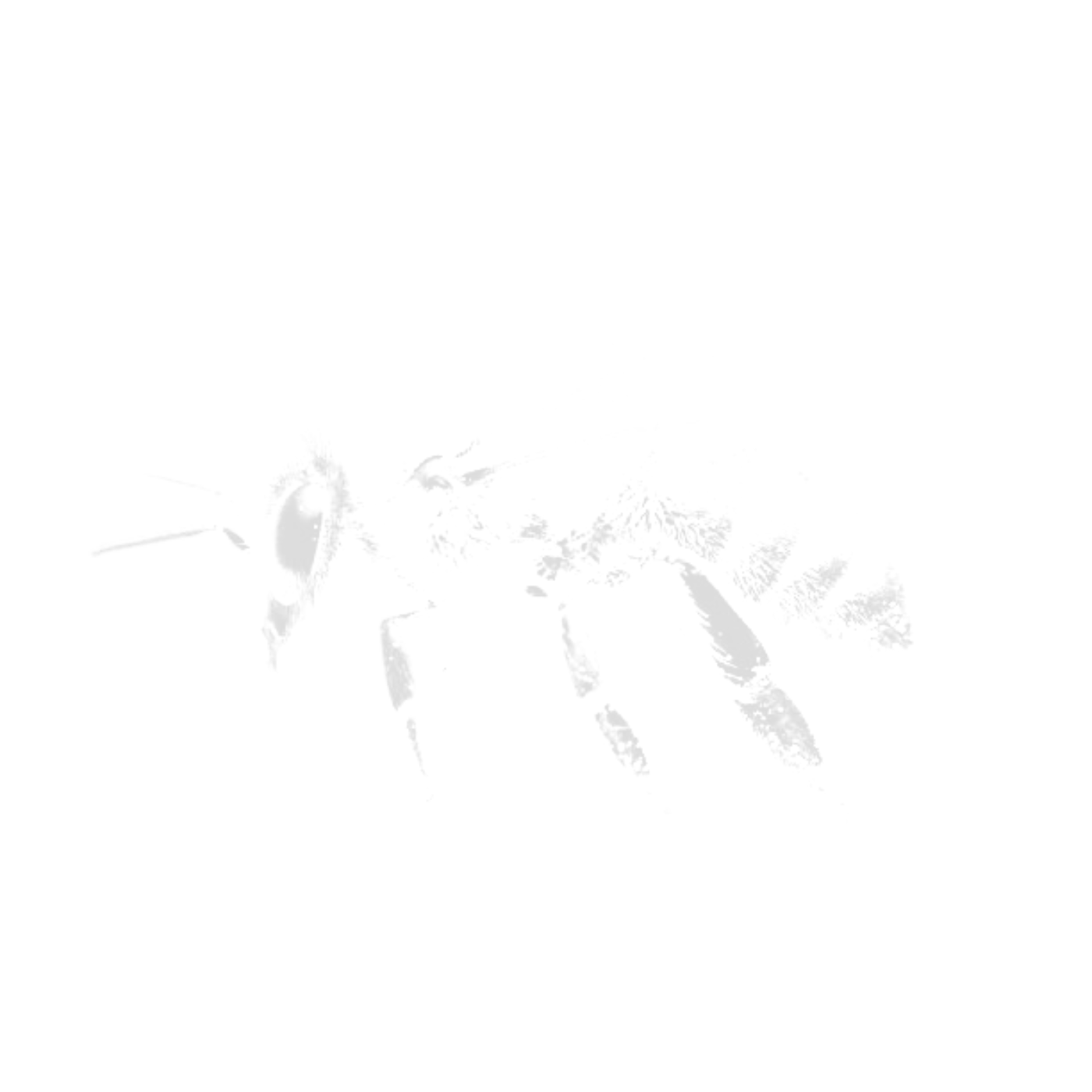 pest control service near sydney